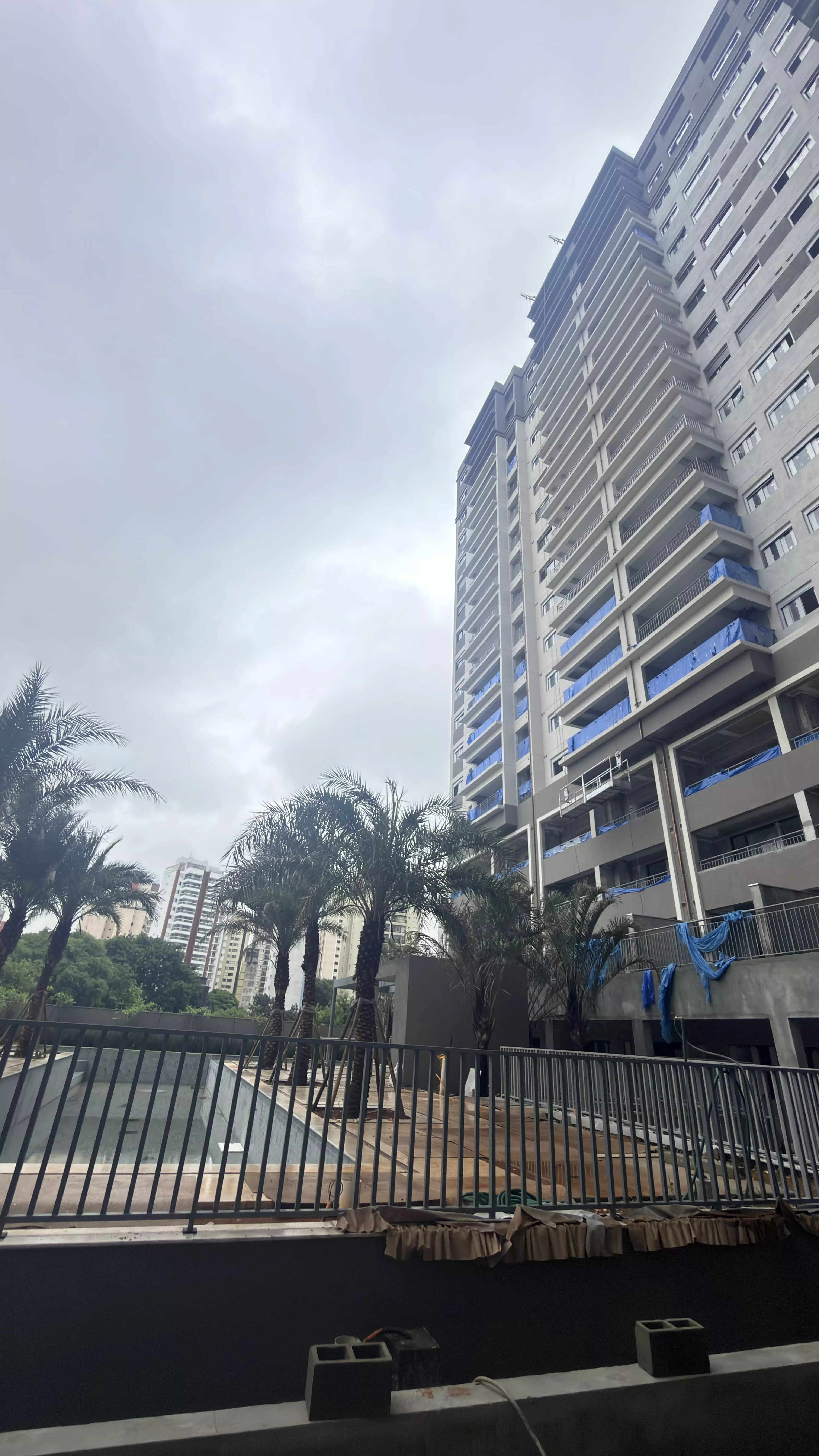 Foto Janeiro/26