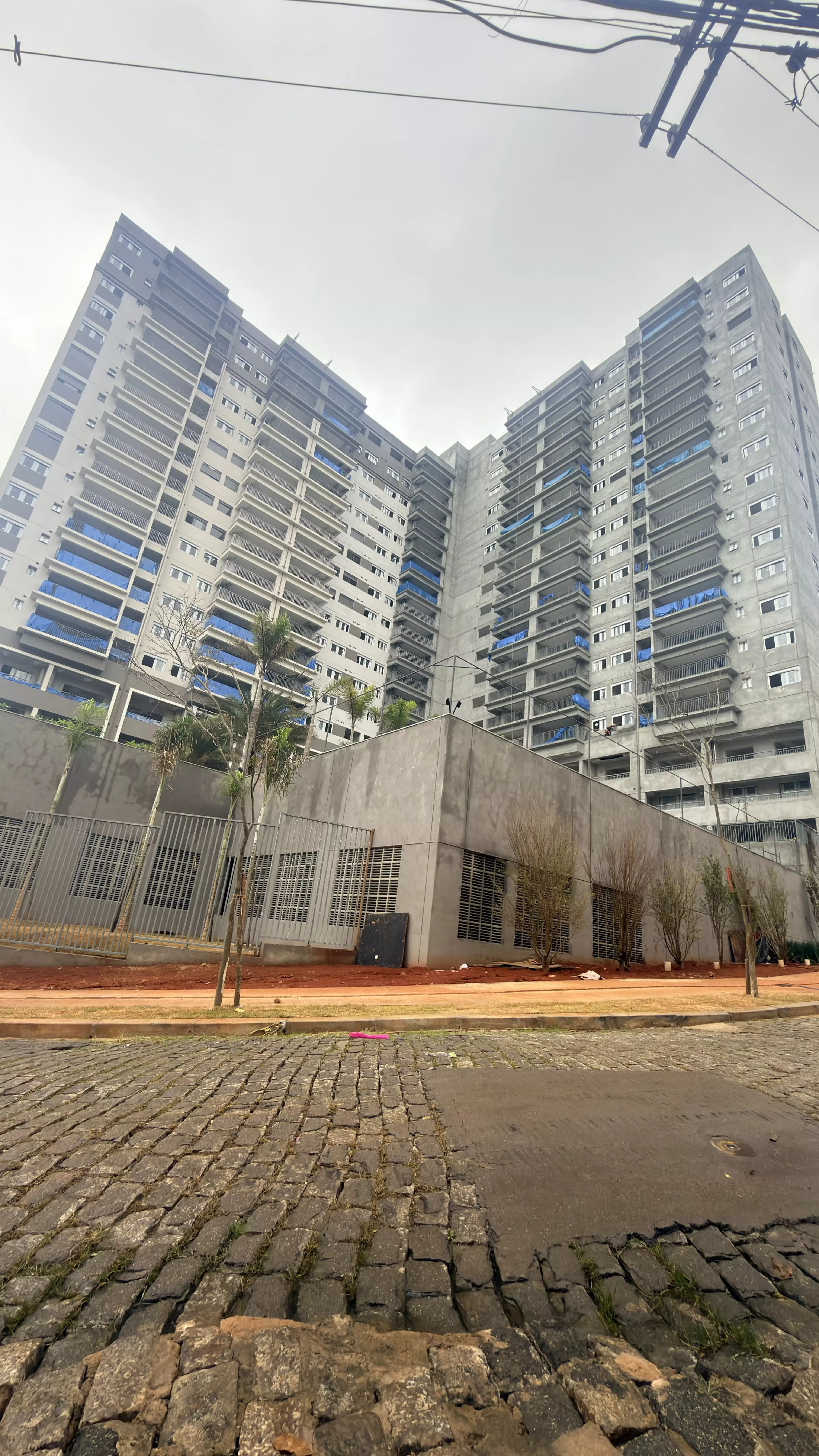 Foto Janeiro/26
