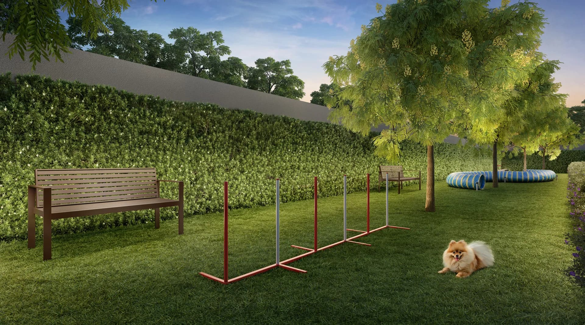 Perspectiva ilustrada do pet place