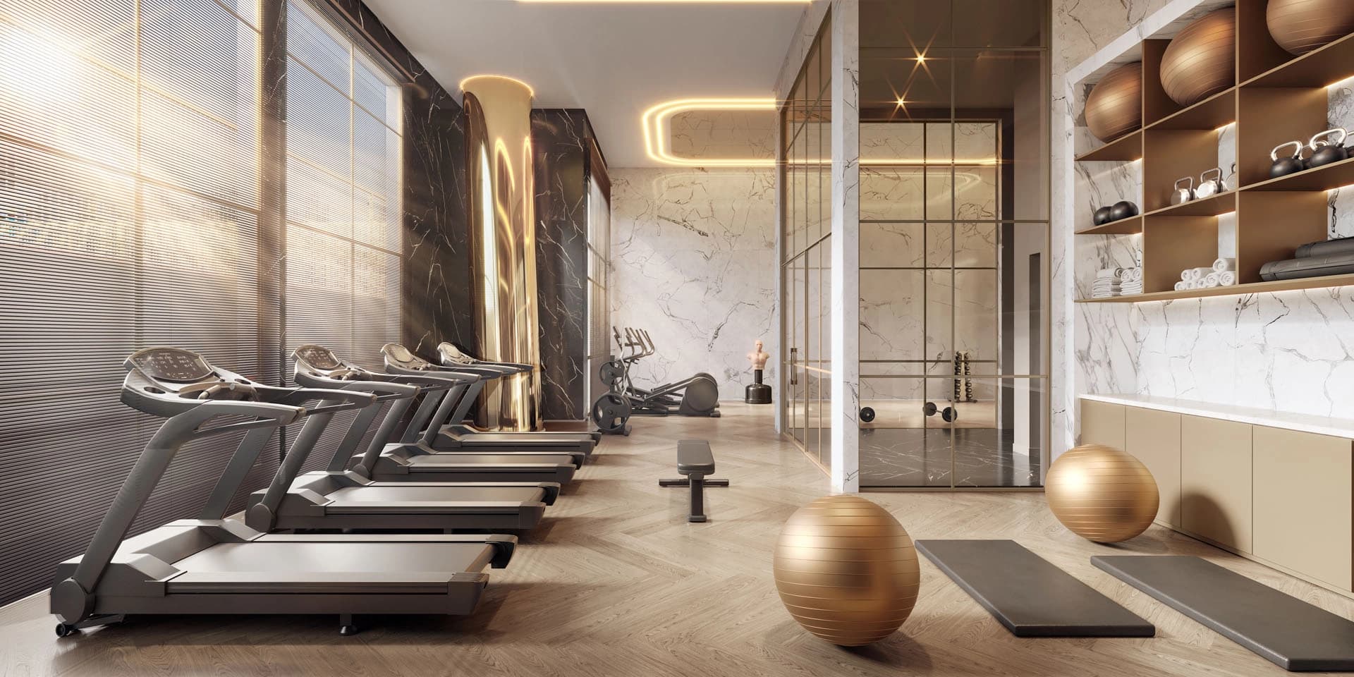 Perspectiva ilustrada do Fitness